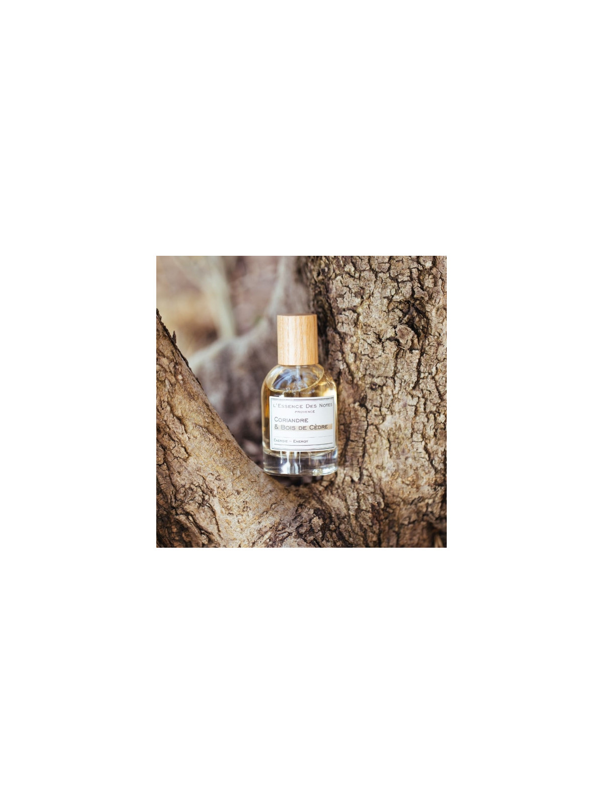 L'Essence des Notes - Eau de Parfum - Coriandre & Bois de Cèdre - Énergie 50 ml