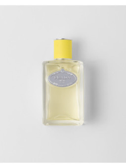 Prada Infusion d'Ylang Eau de Parfum - Solaire & Épicé