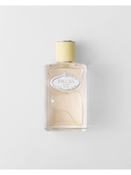 Prada Infusion de Gingembre Eau de Parfum - Frais & Hespéridé