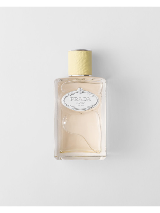 Prada Infusion de Gingembre Eau de Parfum - Frais & Hespéridé